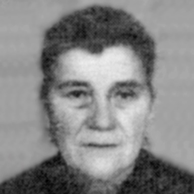 Stana Dragić