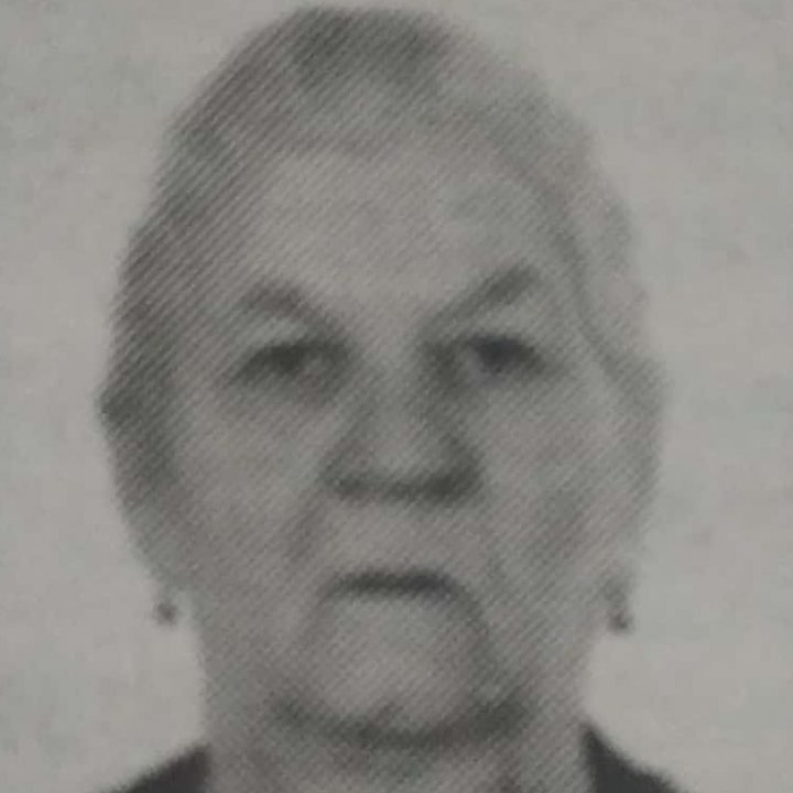 Jela Cvitkovac