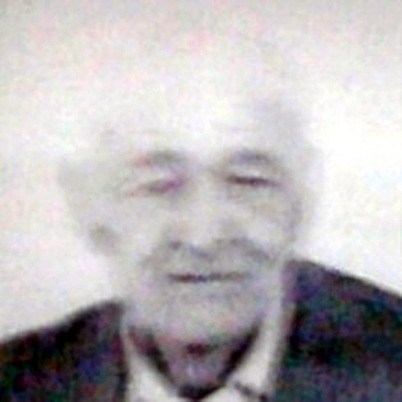 Radoslav Galeb