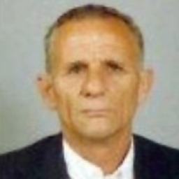 Todor Iković