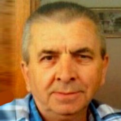 Ramo Karić