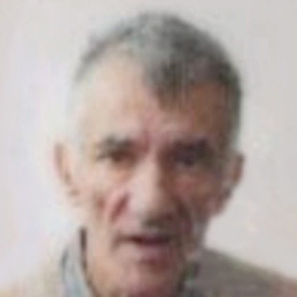 Arif Arslanagić