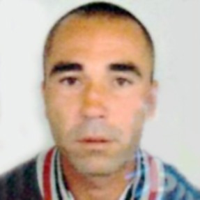 Sanel Palo