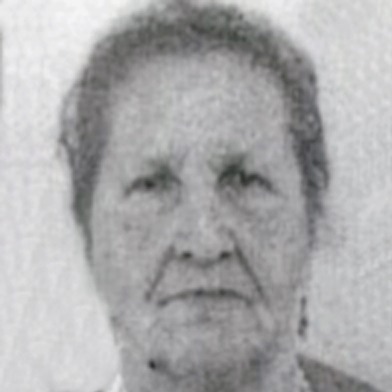 Đulzida Krivić