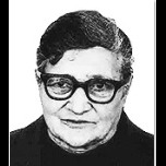 Pava Slavić