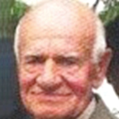 Mirko Vrljičak