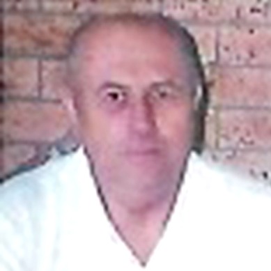 Hadži Vejsil Šahinović