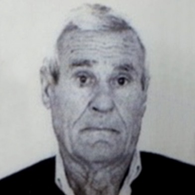 Ante Bradvica