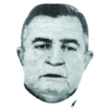 Mehmed Dželdum