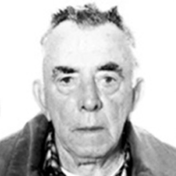 Petar Mirić