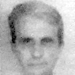 Hamid Mušanović
