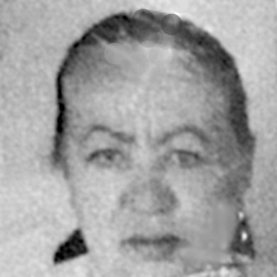 Izeta Begić