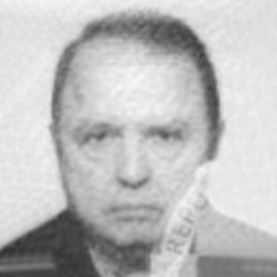 Josip Drvodelić