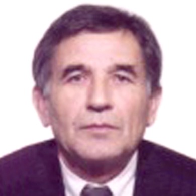 Radoslav Brkić