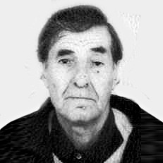 Hamid Ćosić