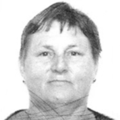 Vica Paić