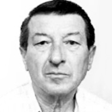 Ivo Jakir