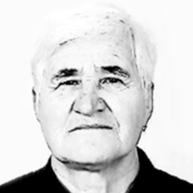 Ana Ćubelić