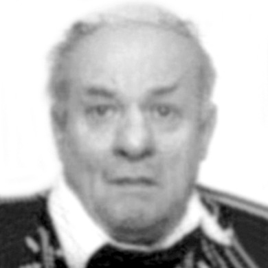 Stjepan Priselec