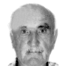Dmitar Dukić