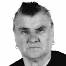 Kata Šare
