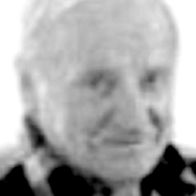 Ilija Globarević