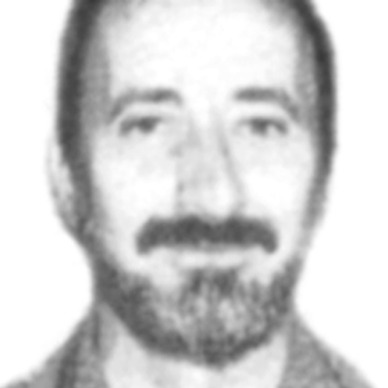 Miomir Terzić