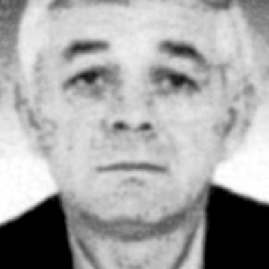 Veselin Arambašić