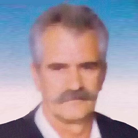 Nedeljko Petričević