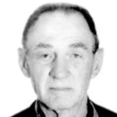 Borivoj Henić