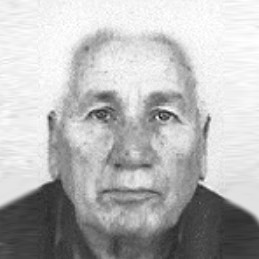 Mustafa Velić
