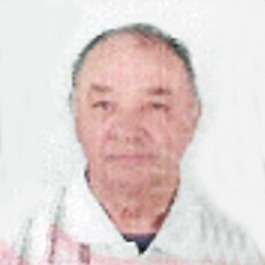 Huse Ružnić