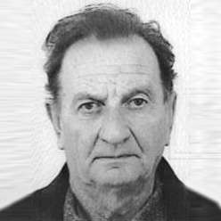 Irfan Softić