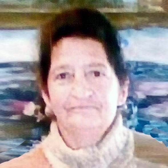 Bisa Dautović