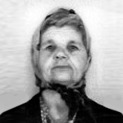 Cvija Kokot