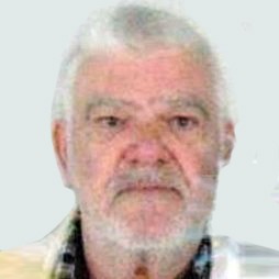Hamid Dervišević