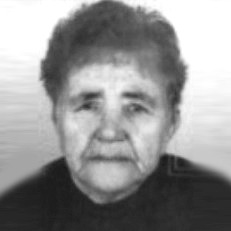 Anica Krmek
