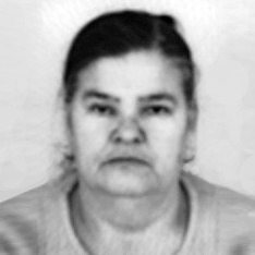 Mula Fehrić