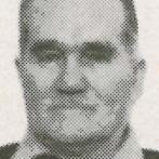 Radisav Madžgalj