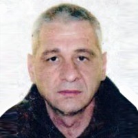 Hamid Čalija