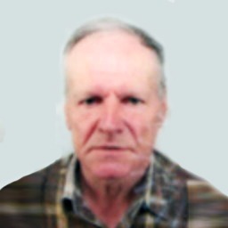 Safet Sejdić
