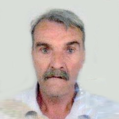 Ahmo Čustović