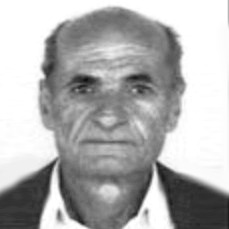 Gojko Brkić