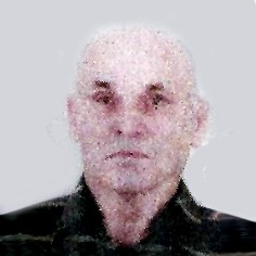 Ismet Ajdinović