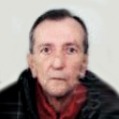 Husein Handžić
