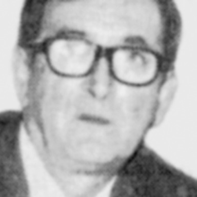 Milan Medić