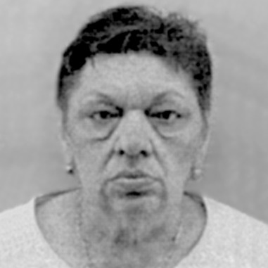 Dobrila Stojšić