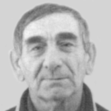Rade Aleksić