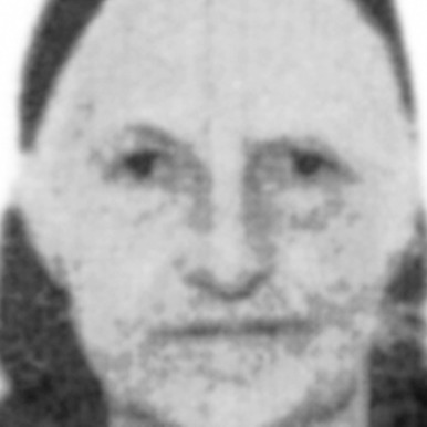 Branka Noković