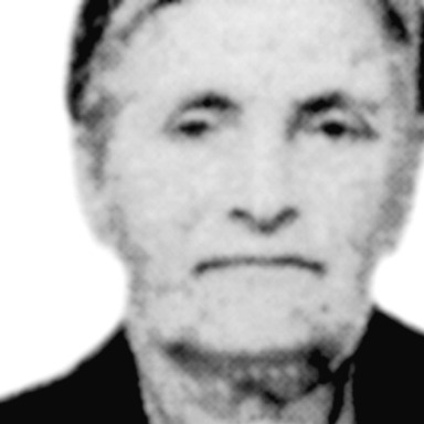 Dilja Nikpalović